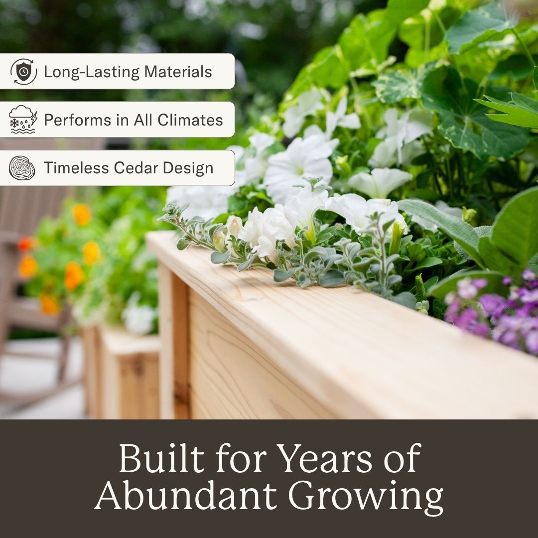 Natural Cedar Elevated Garden Planter