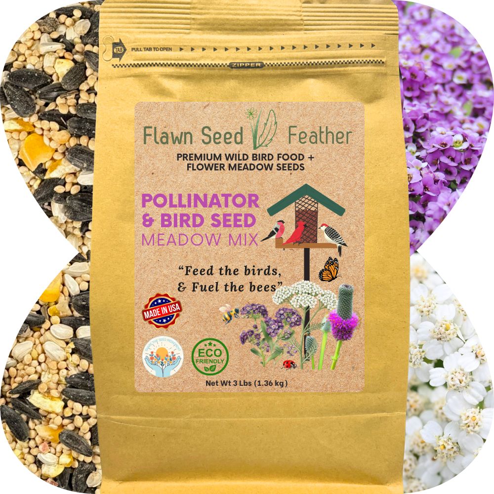 Premium Pollinator & Wild Bird Seed Mix - Flowering Meadow Blend