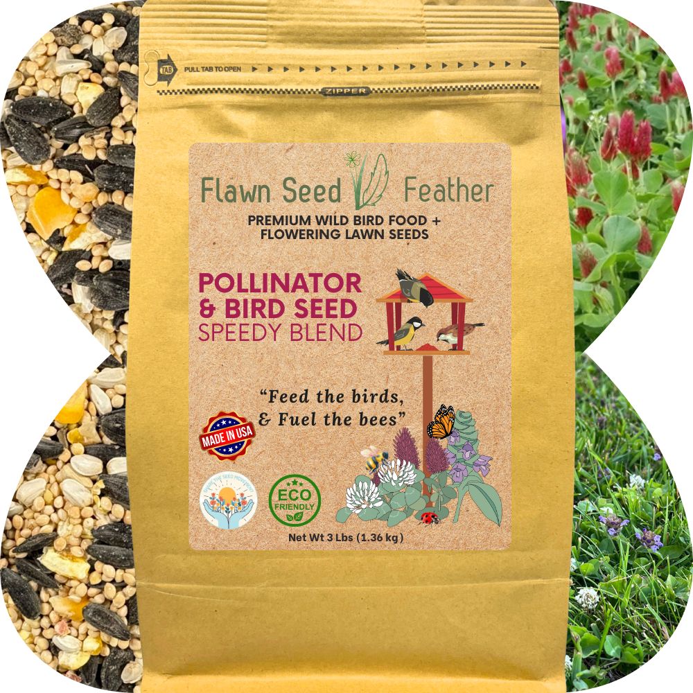 Premium Pollinator & Wild Bird Seed Mix - Speedy Clover Blend