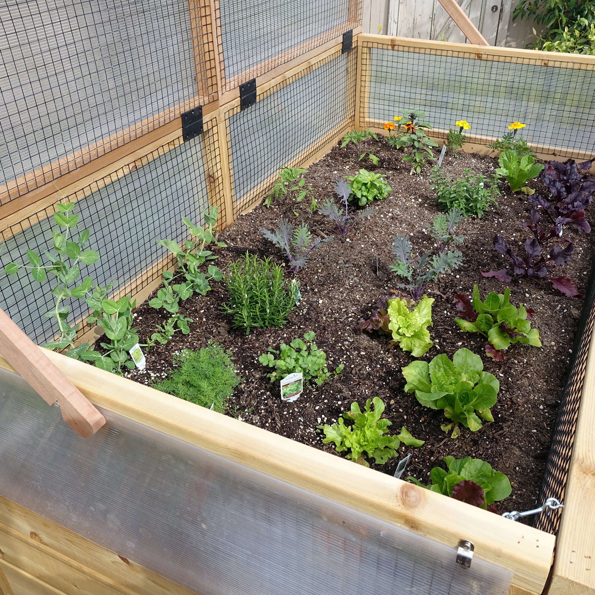 3' x 6' Raised Garden Bed Mini Greenhouse Kit