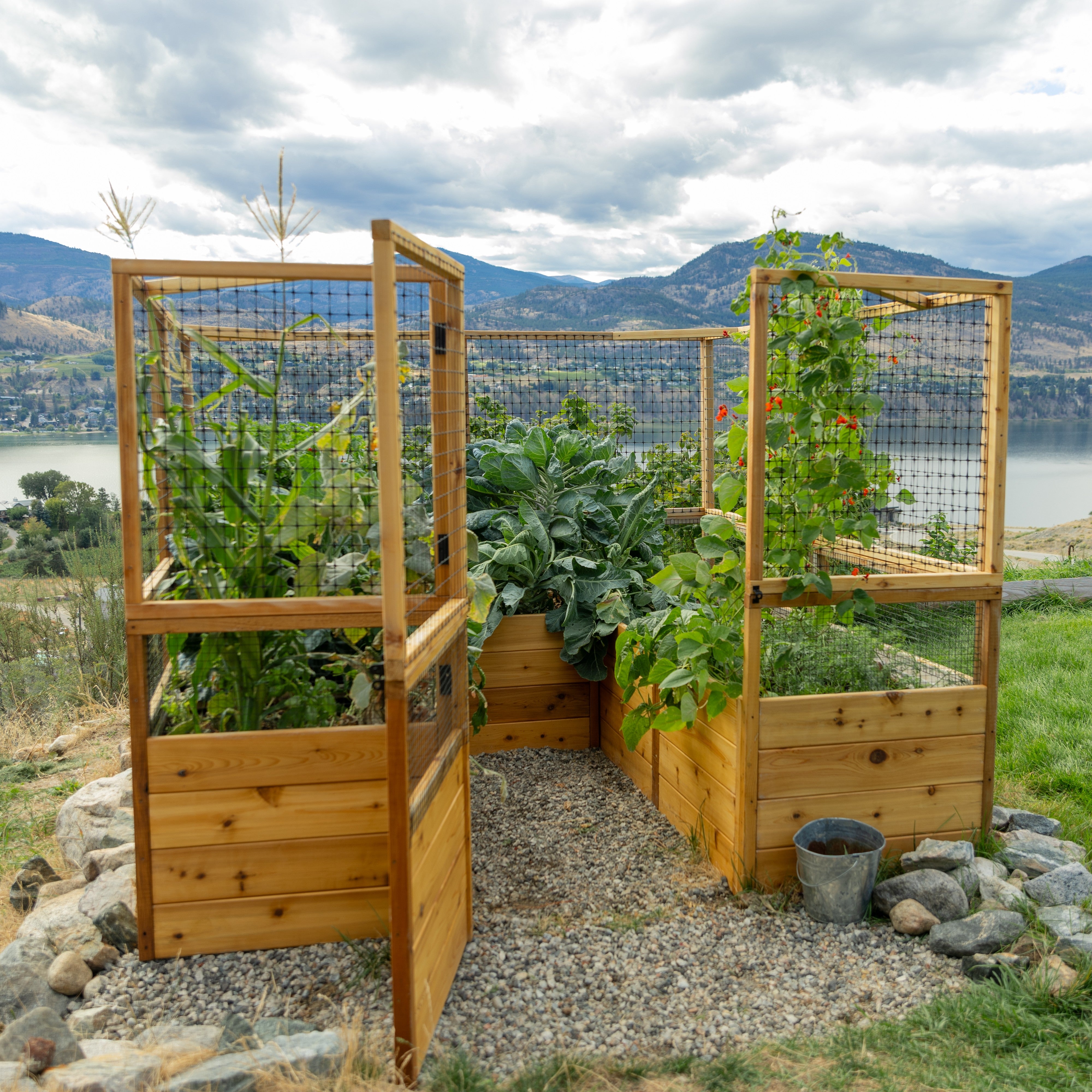 Deer Proof Cedar Complete Raised Garden Bed Kit - 8' x 8' x 20"