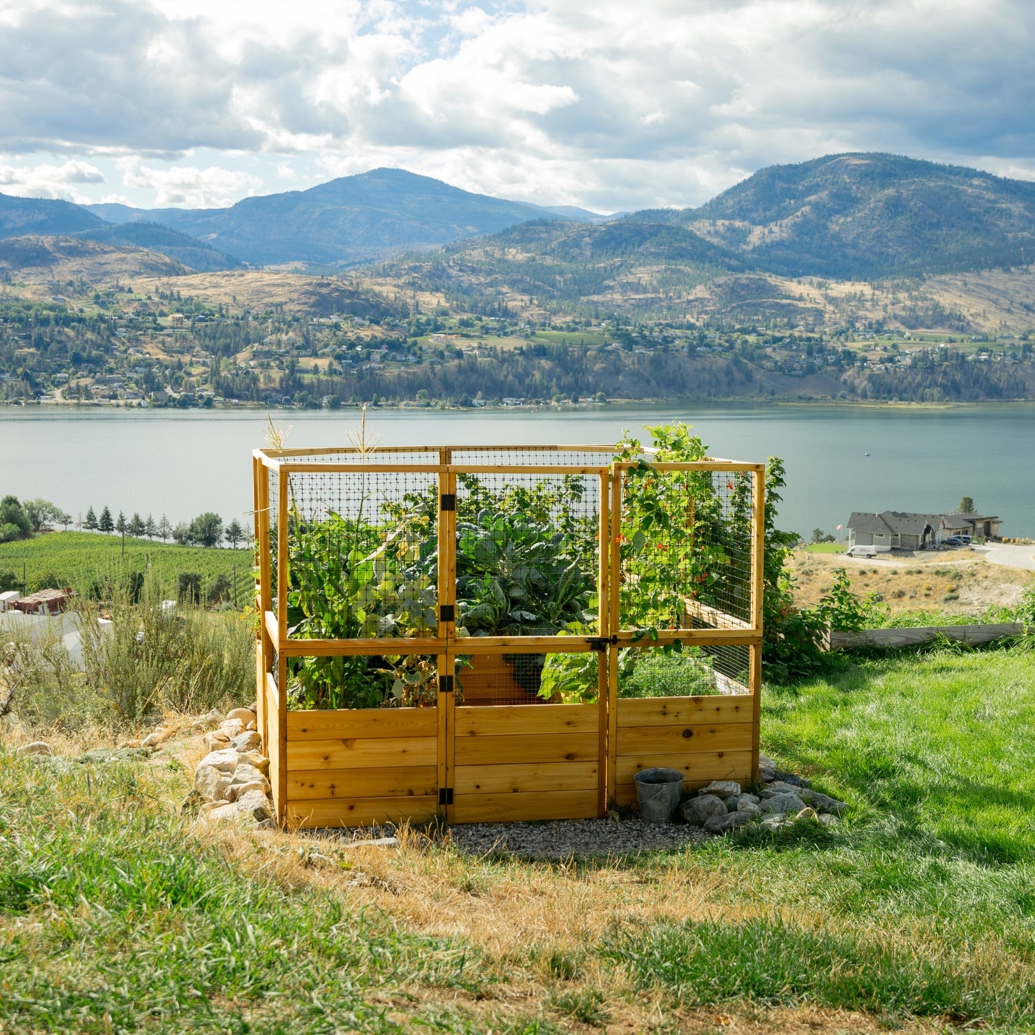 Deer Proof Cedar Complete Raised Garden Bed Kit - 8' x 8' x 20"