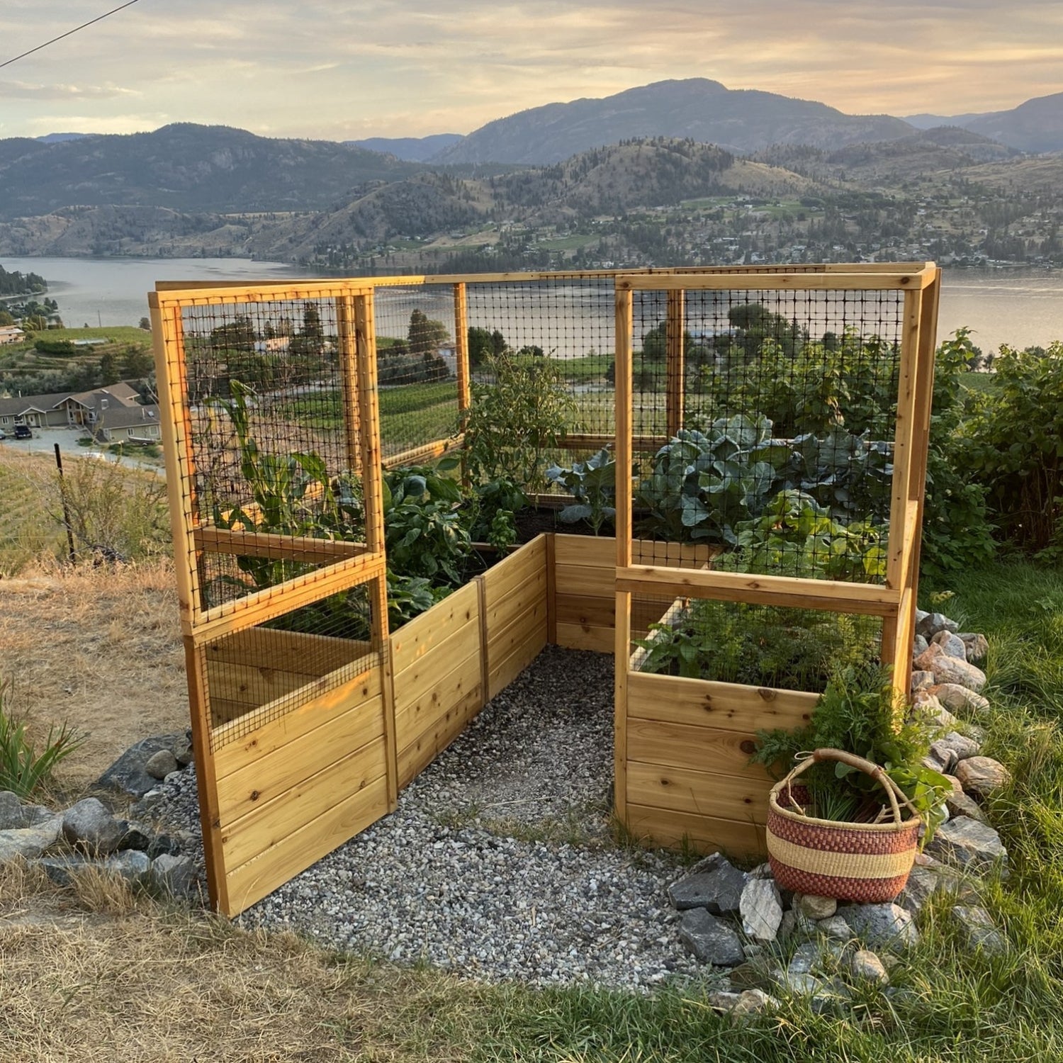 Deer Proof Cedar Complete Raised Garden Bed Kit - 8' x 8' x 20"