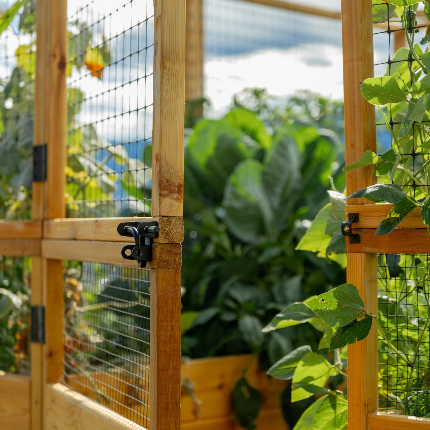 Deer Proof Cedar Complete Raised Garden Bed Kit - 8' x 8' x 20"