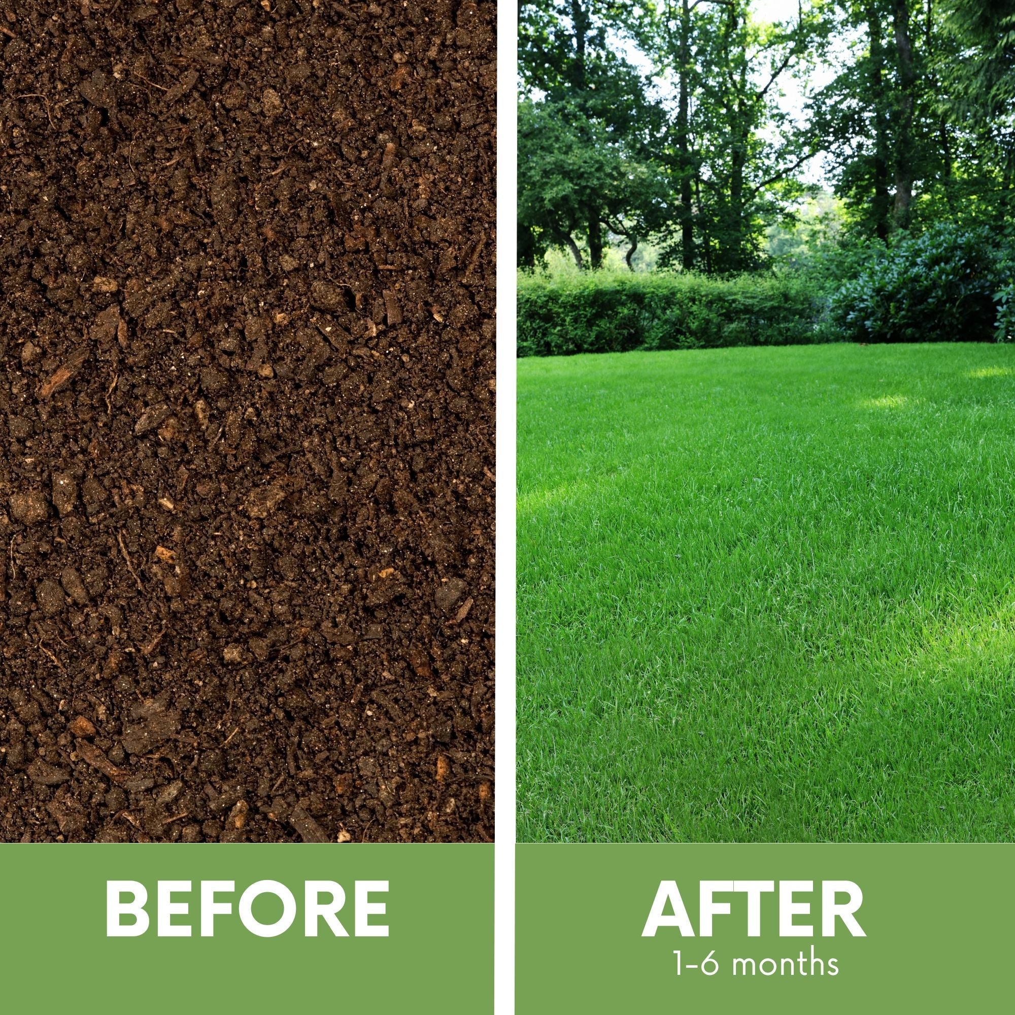 RUFF & TUFF Grass Seed - Premium Low Maintenance Fescue Blend