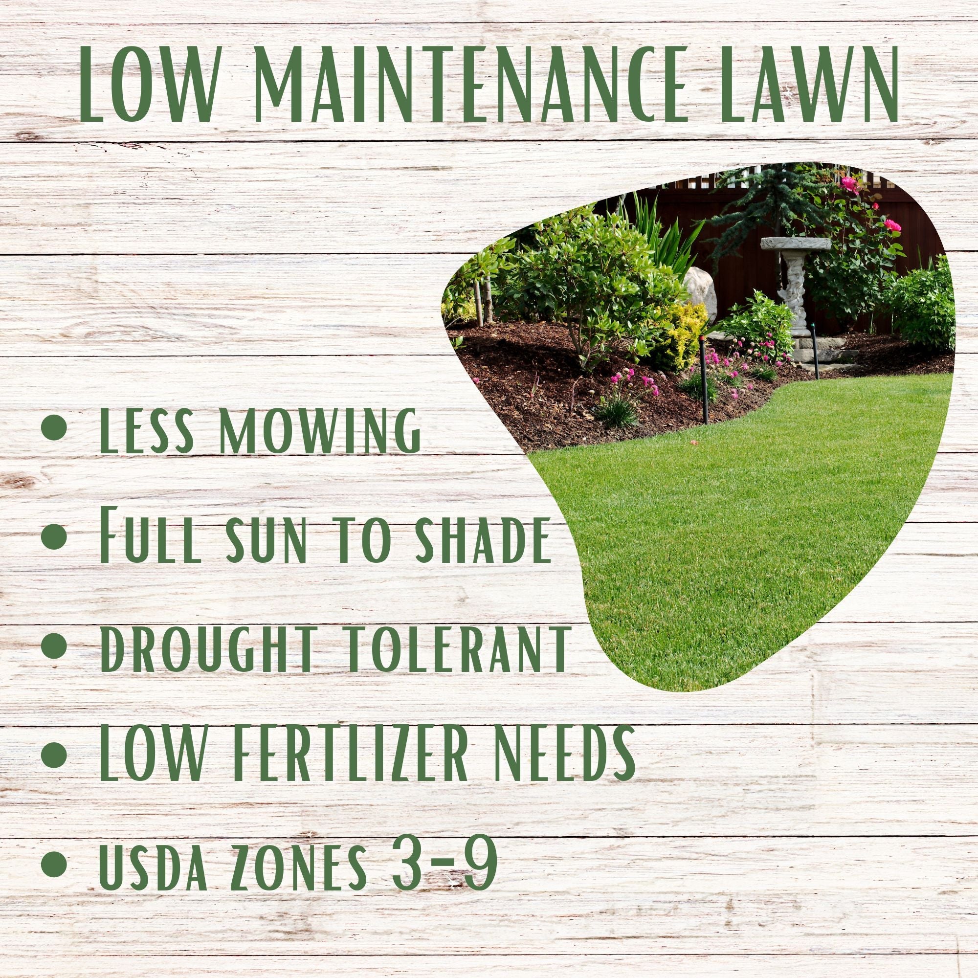 RUFF & TUFF Grass Seed - Premium Low Maintenance Fescue Blend