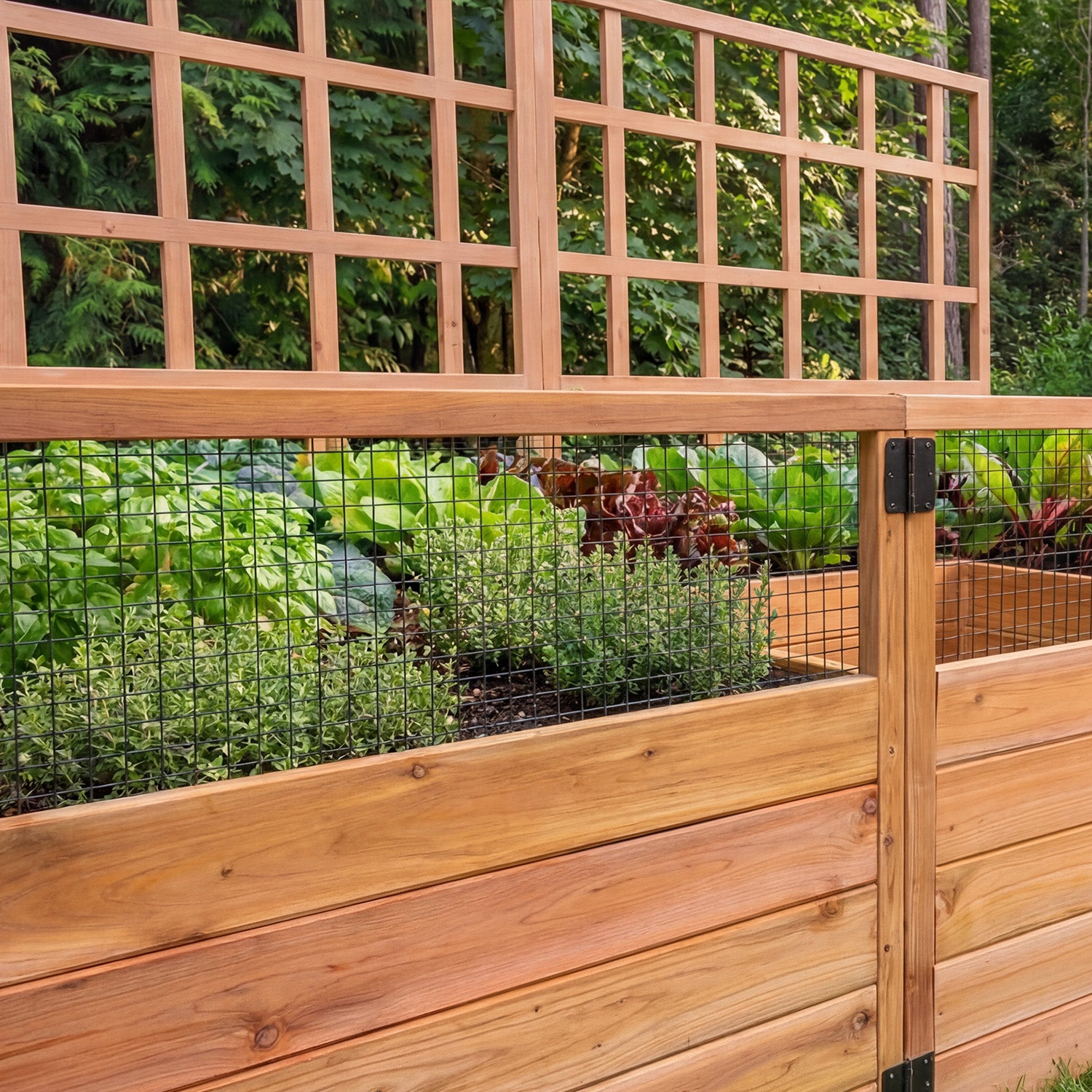 Cedar Complete Raised Garden Bed Kit - 8' x 5' x 20"