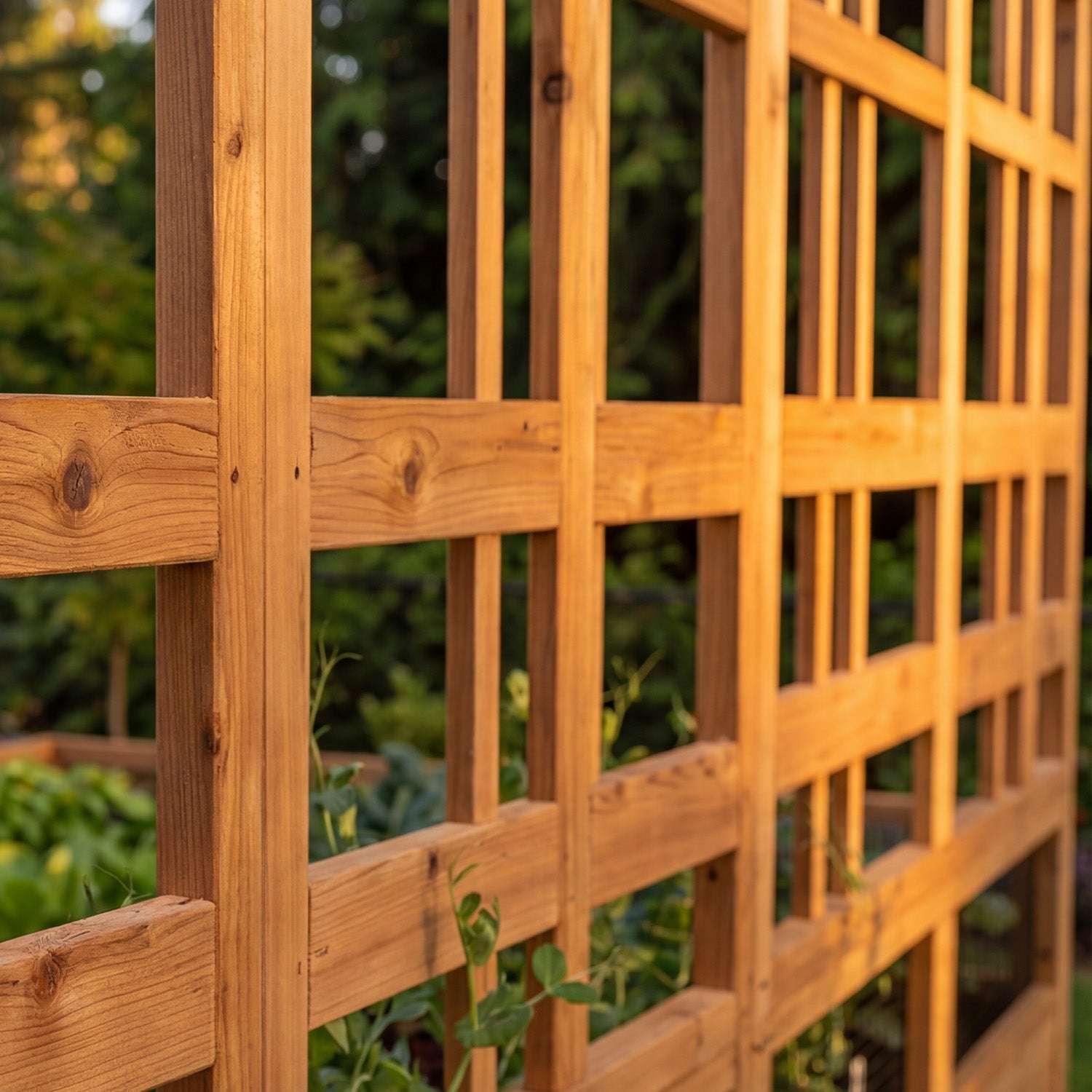 Cedar Complete Raised Garden Bed Kit - 8' x 5' x 20"