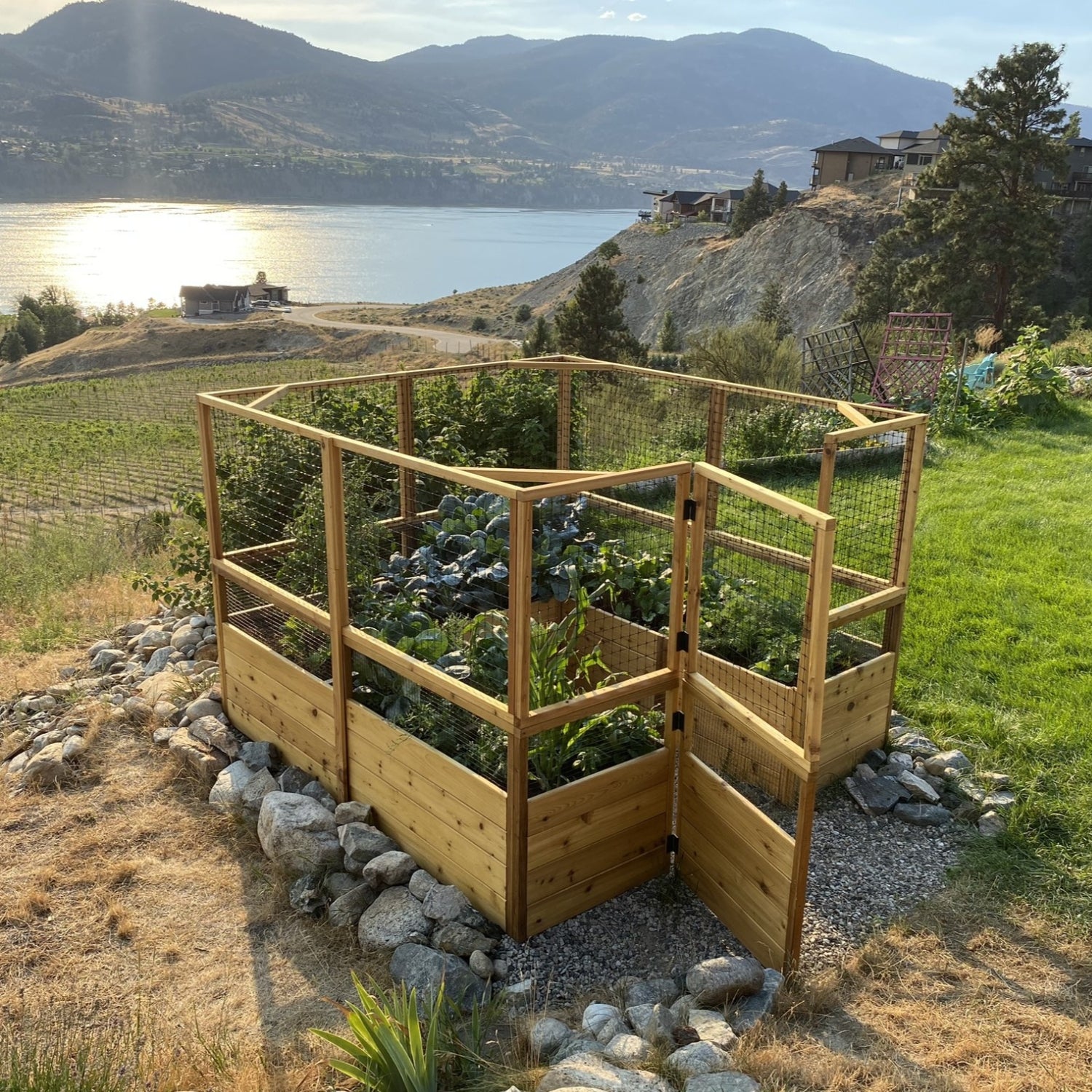 Deer Proof Cedar Complete Raised Garden Bed Kit - 8' x 8' x 20"