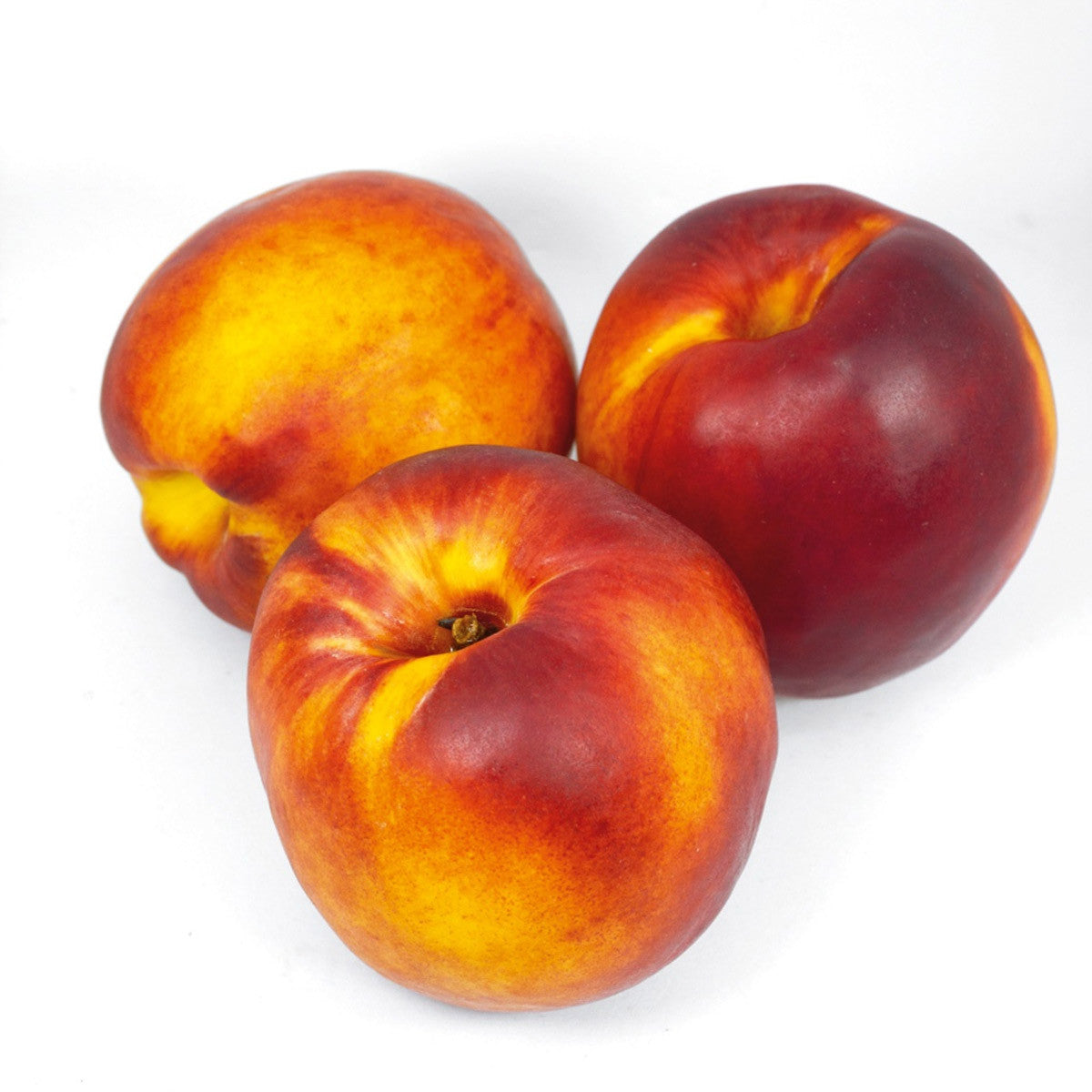 Red Gold Nectarine