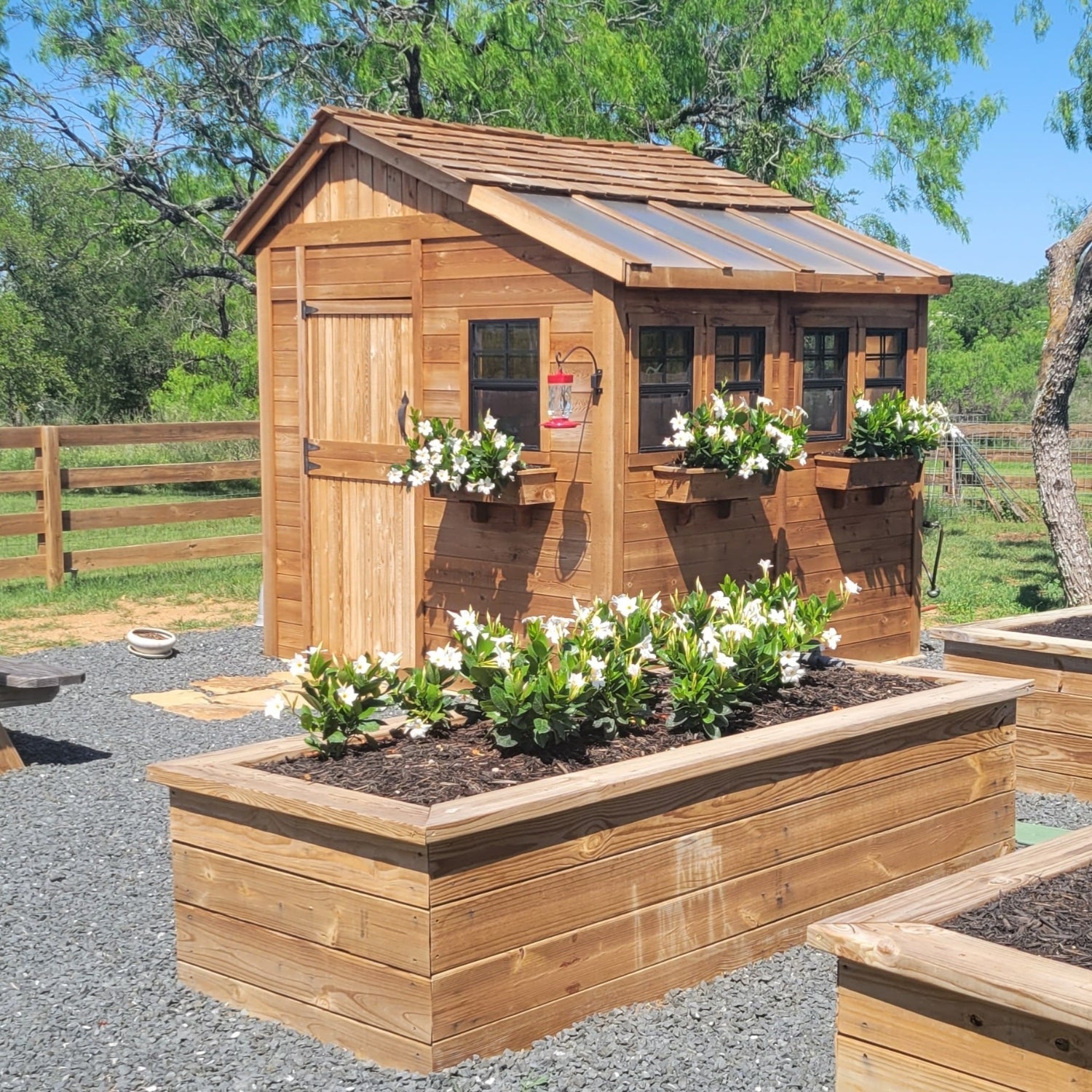 Sunshed 8' x 8' Western Red Cedar Garden Shed - Eartheasy