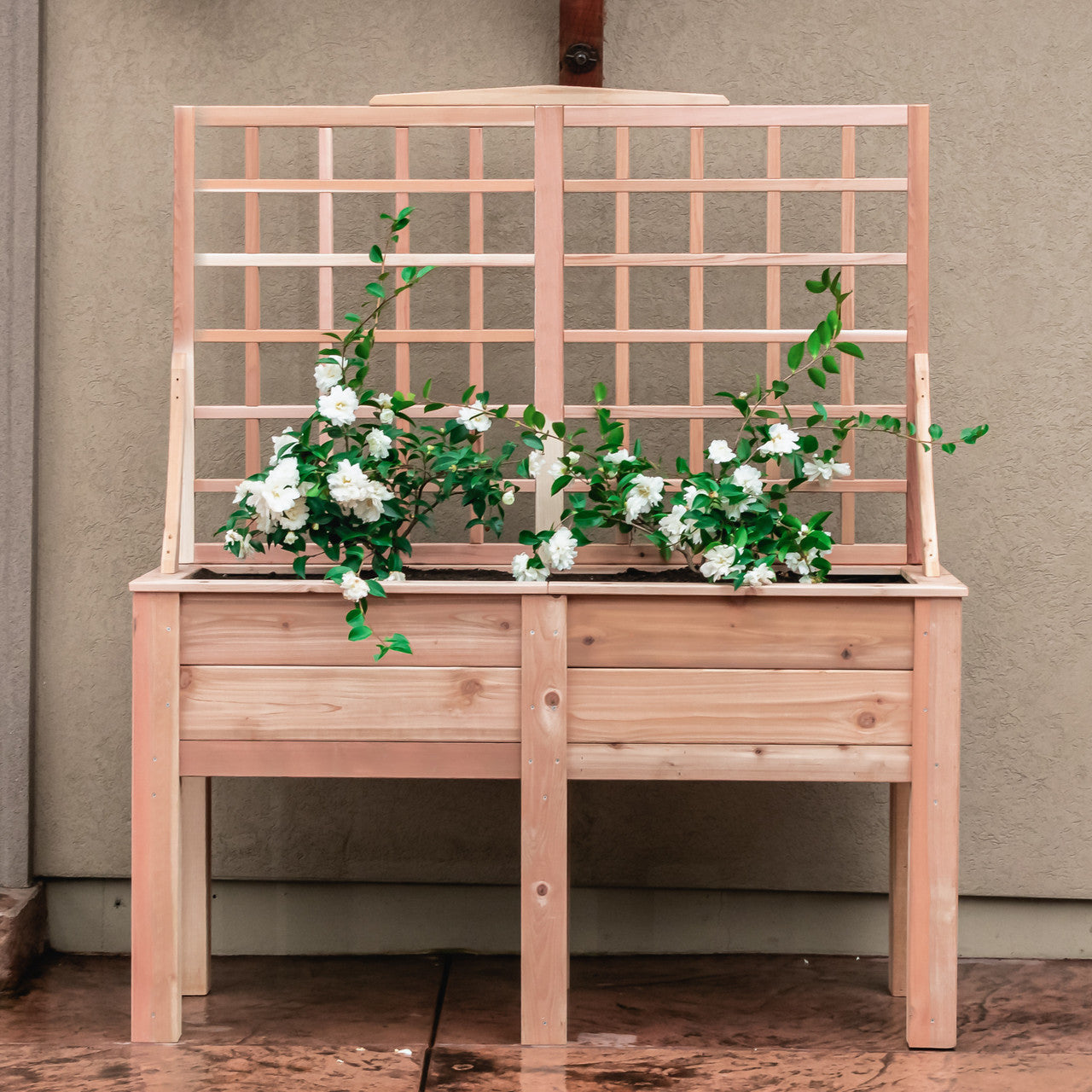 Natural Cedar Elevated Planter with Trellis