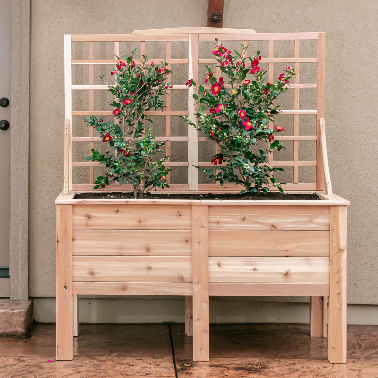 Natural Cedar Elevated Planter with Trellis