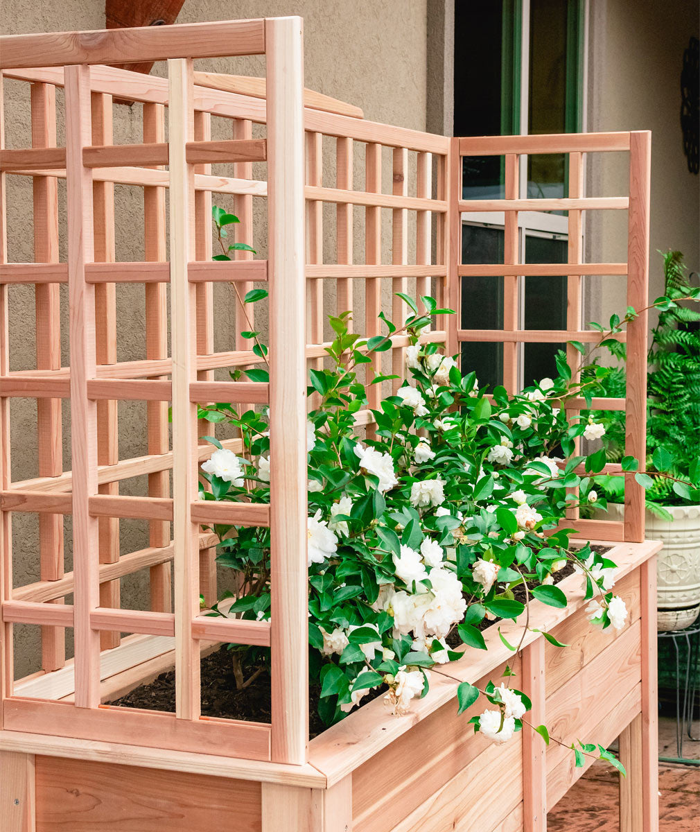 6ft trellis planter Natural Cedar Elevated Planter with U-Trellis