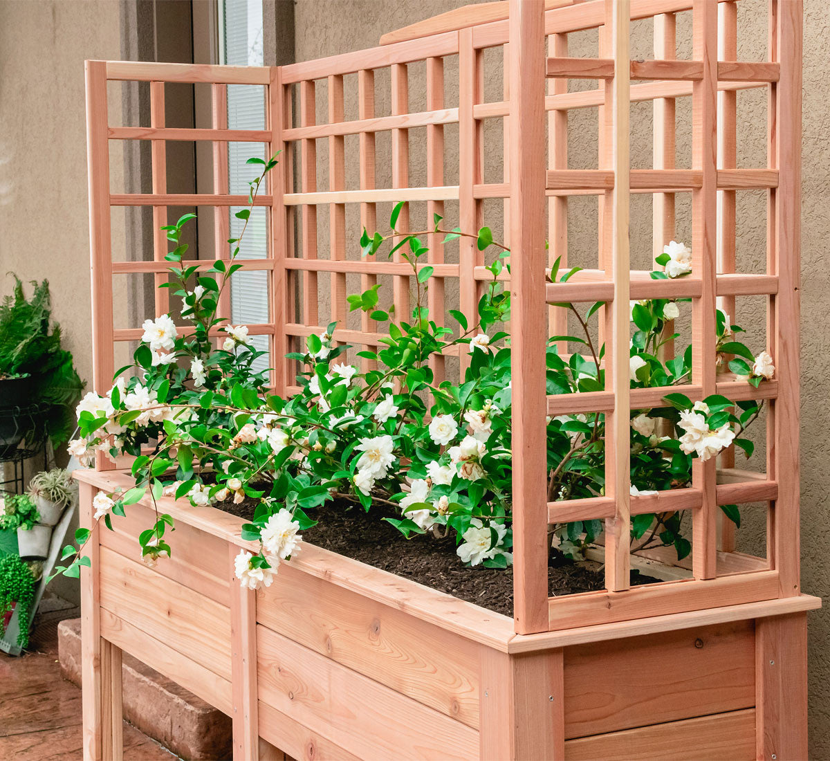wooden trough with trellis Natural Cedar Elevated Planter with U-Trellis