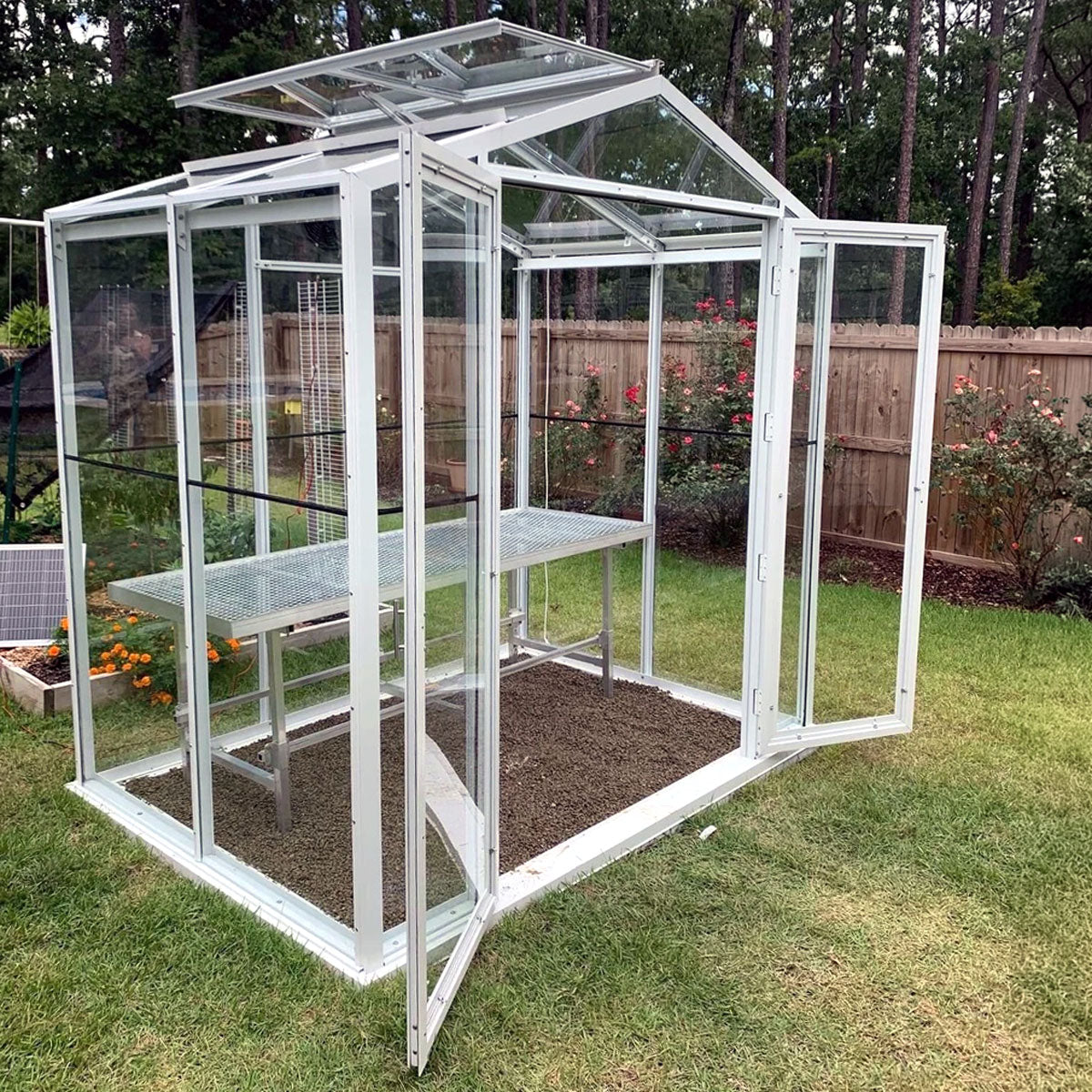 5' x 8' Compact Sago Glass Greenhouse