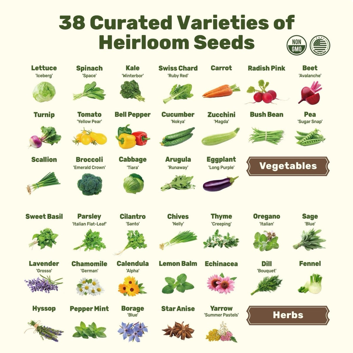 SeedStack™ Starter Seed Kit - 38 Curated Varieties of Vegetable & Herb Seeds