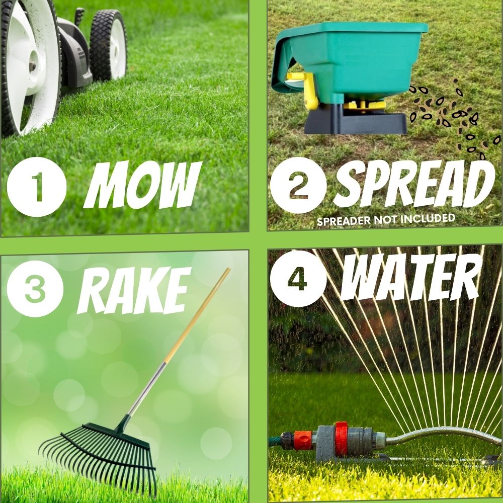 RUFF & TUFF Grass Seed - Premium Low Maintenance Fescue Blend