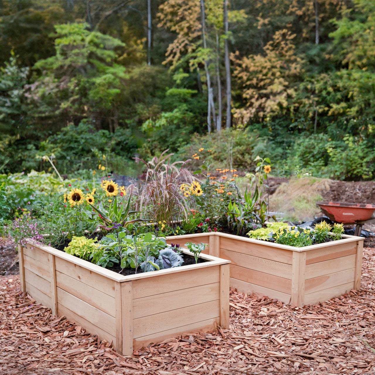 Natural Cedar 9' U-Shaped Raised Garden Beds