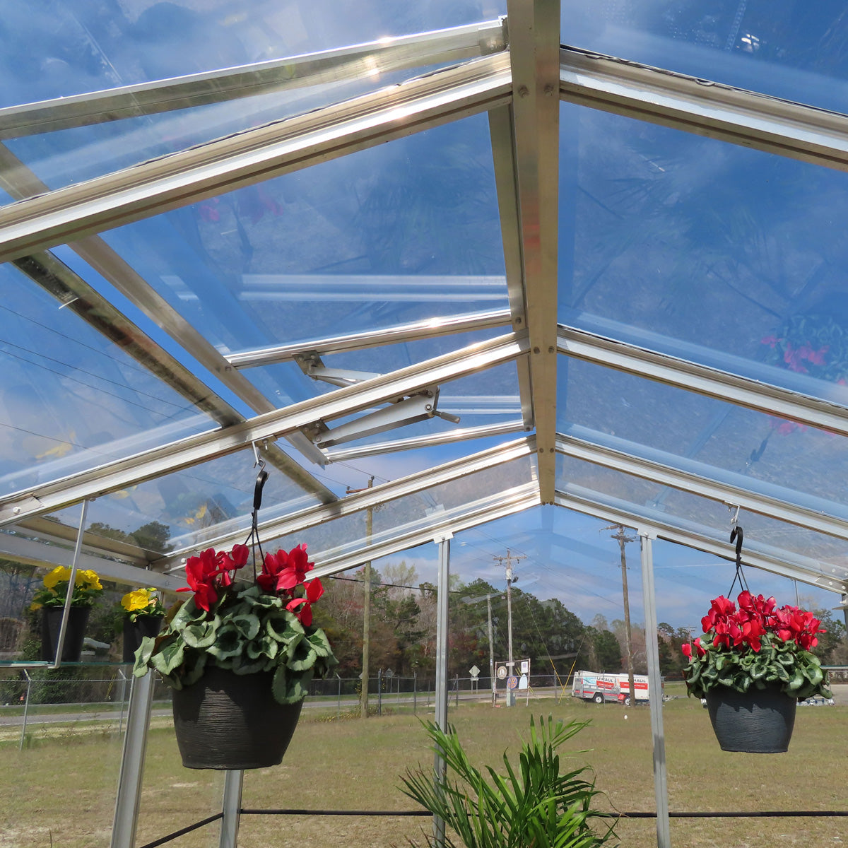5' x 8' Compact Sago Glass Greenhouse