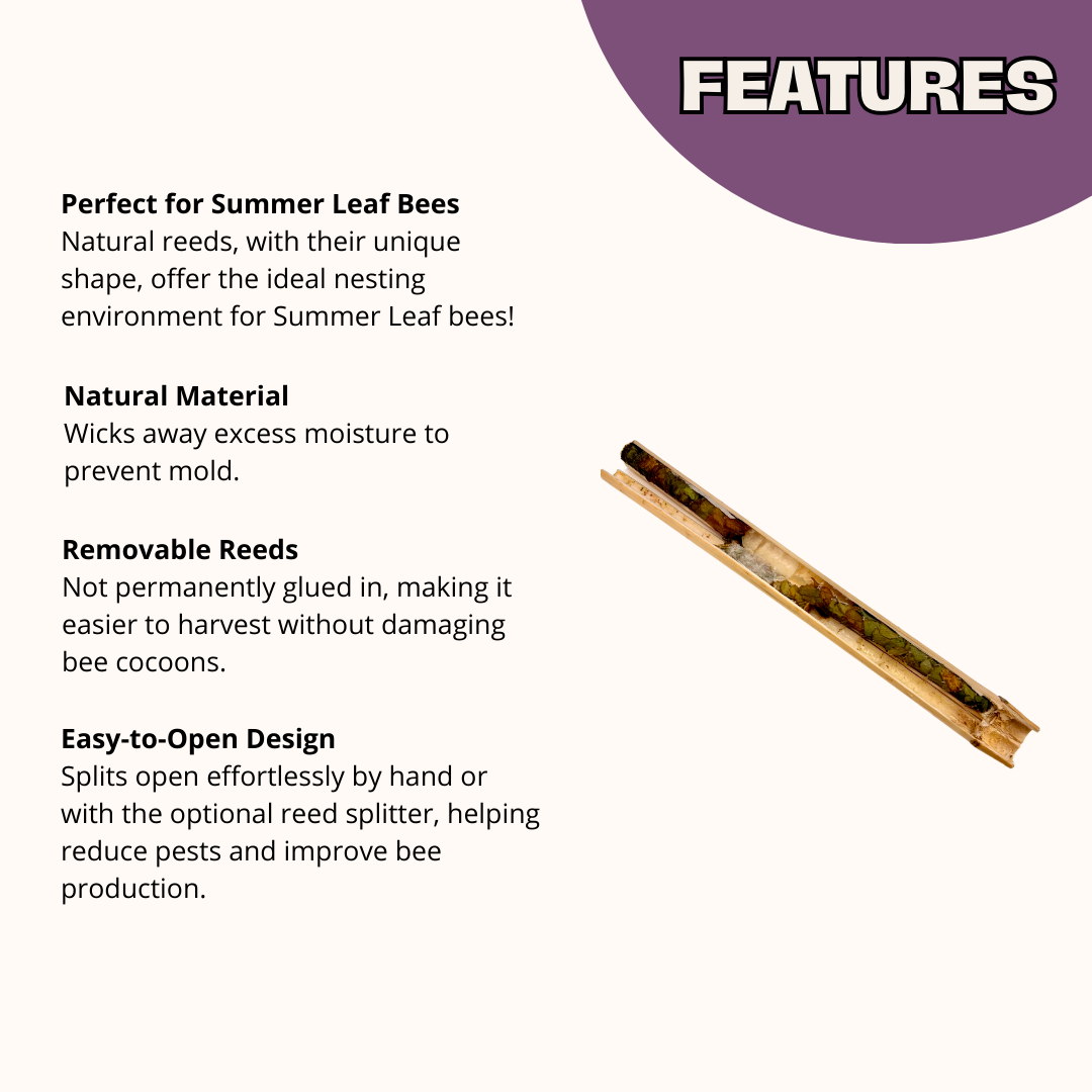 Cedar Chalet Complete Kit Bee House & Bee Certificate