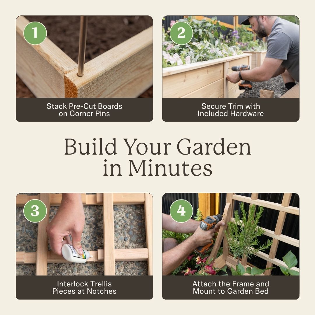 Natural Cedar Raised Beds with Trellis