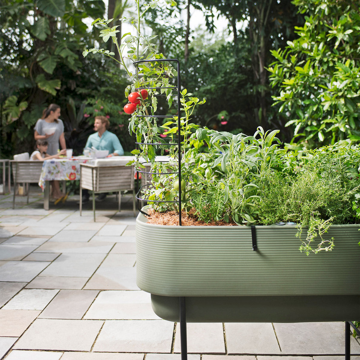 Nest Self-Watering Elevated Garden Planter