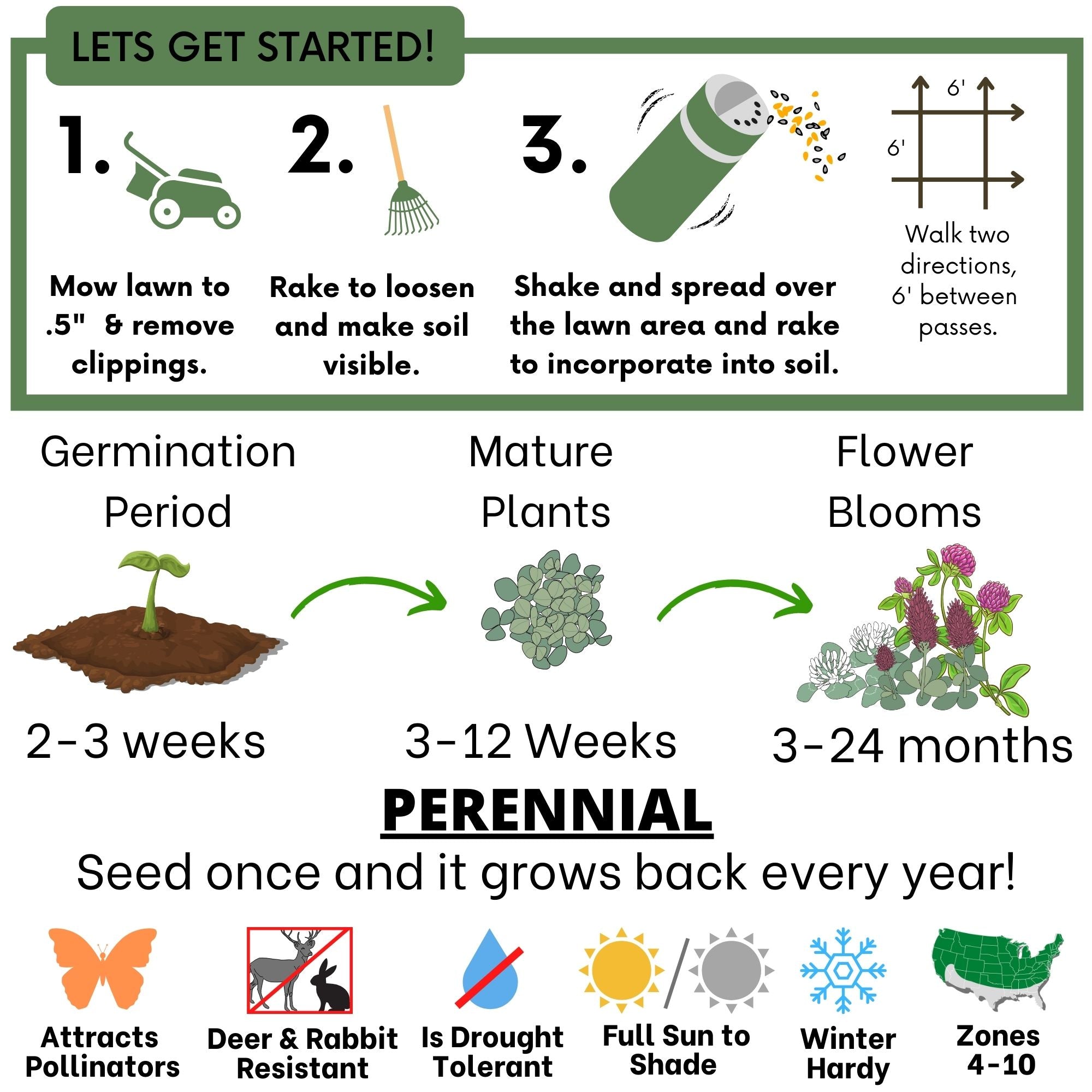 Tri-Color Flowering Clover Seed Kit