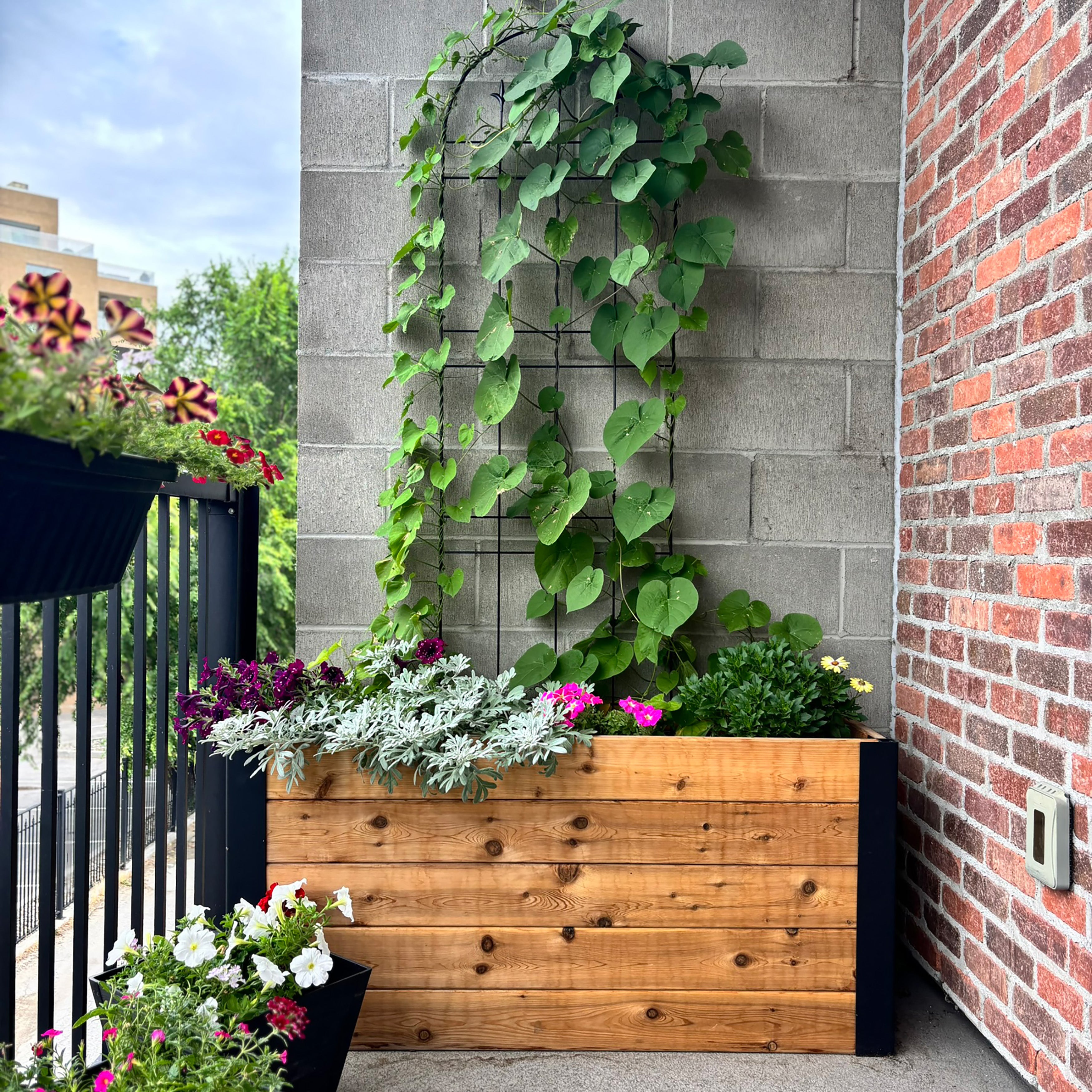Urban Raised Garden Bed Planter 1.5' x 4'