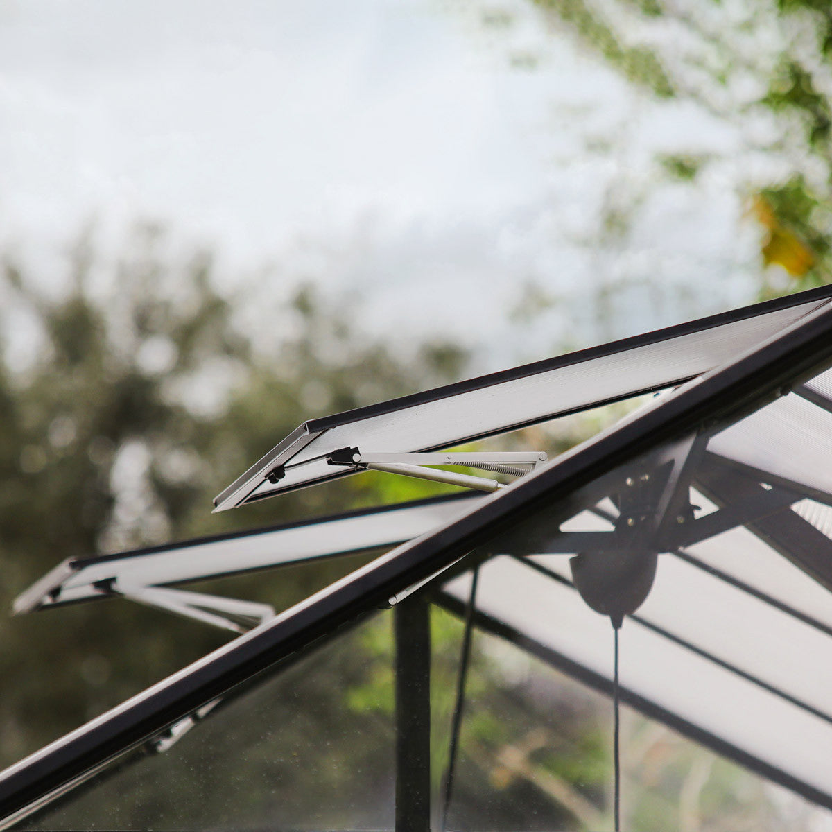 Triomphe Chalet 12' x 15' Greenhouse