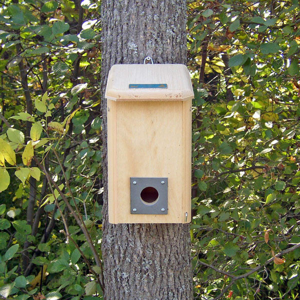 Winter Roost with entry at the bottom