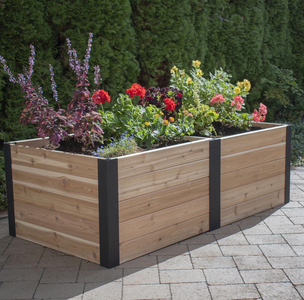Urban Raised Garden Bed Planter 3' x 6'