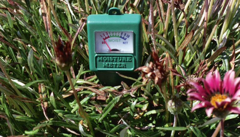 Soil Moisture Meter