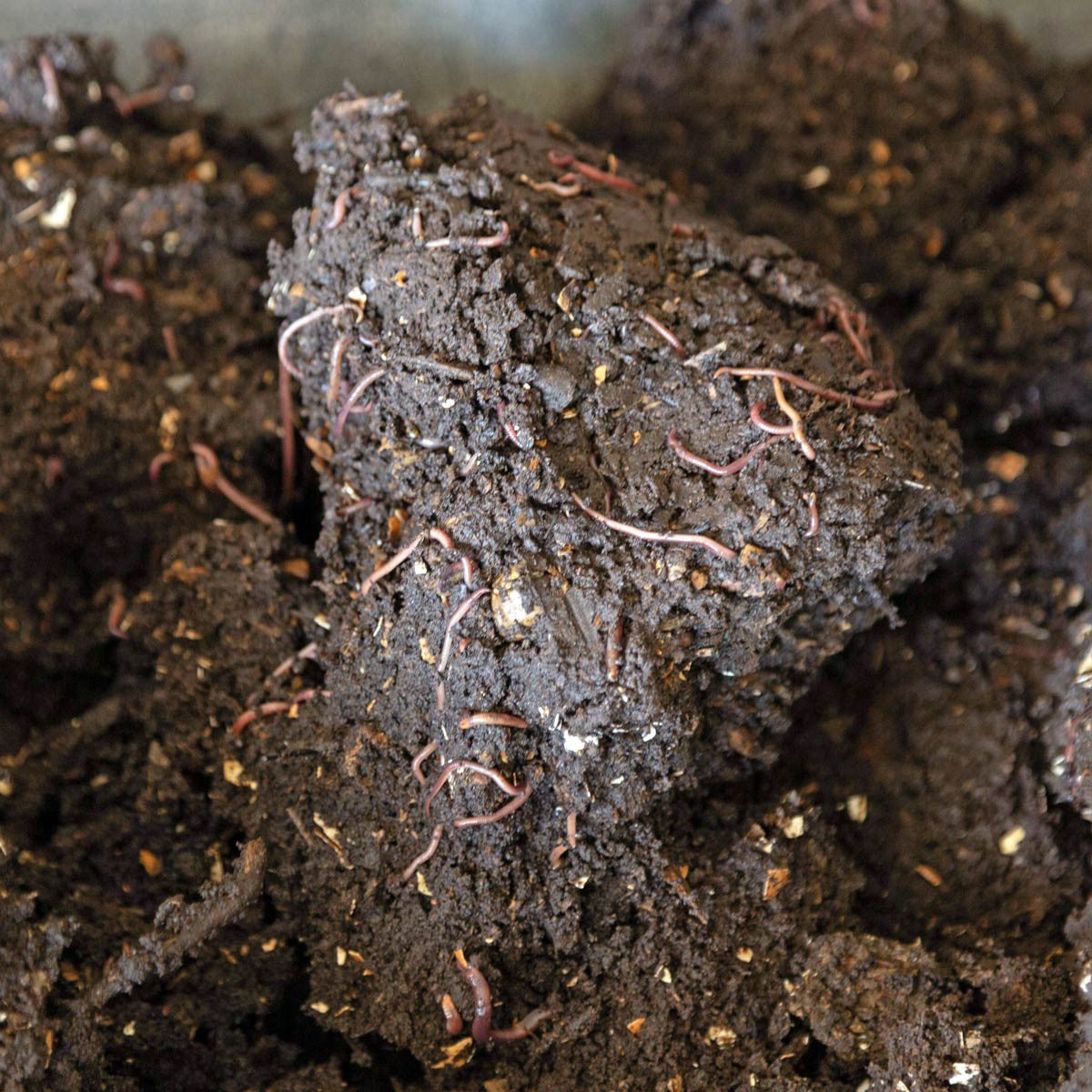 VermiFlow Continuous Flow Composting System - 14 Cubic Feet