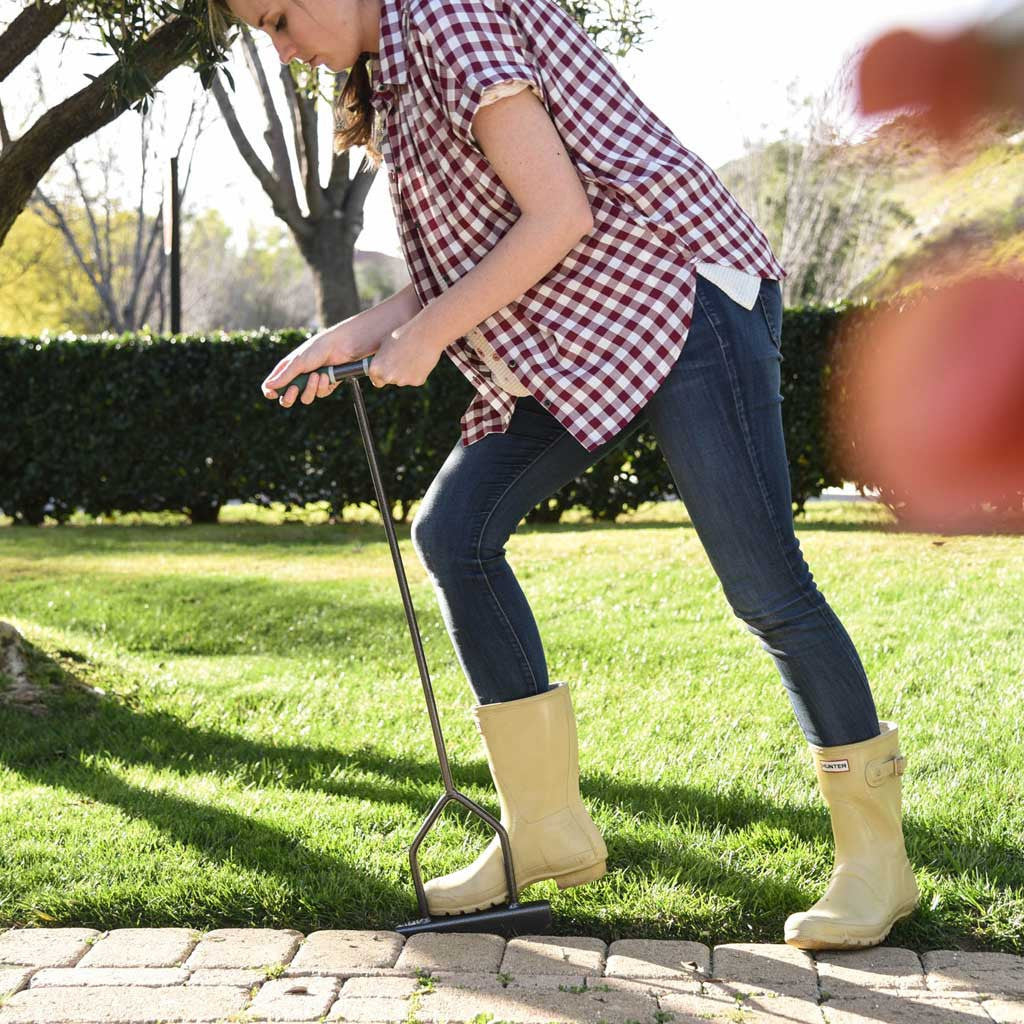 Step Lawn Edger