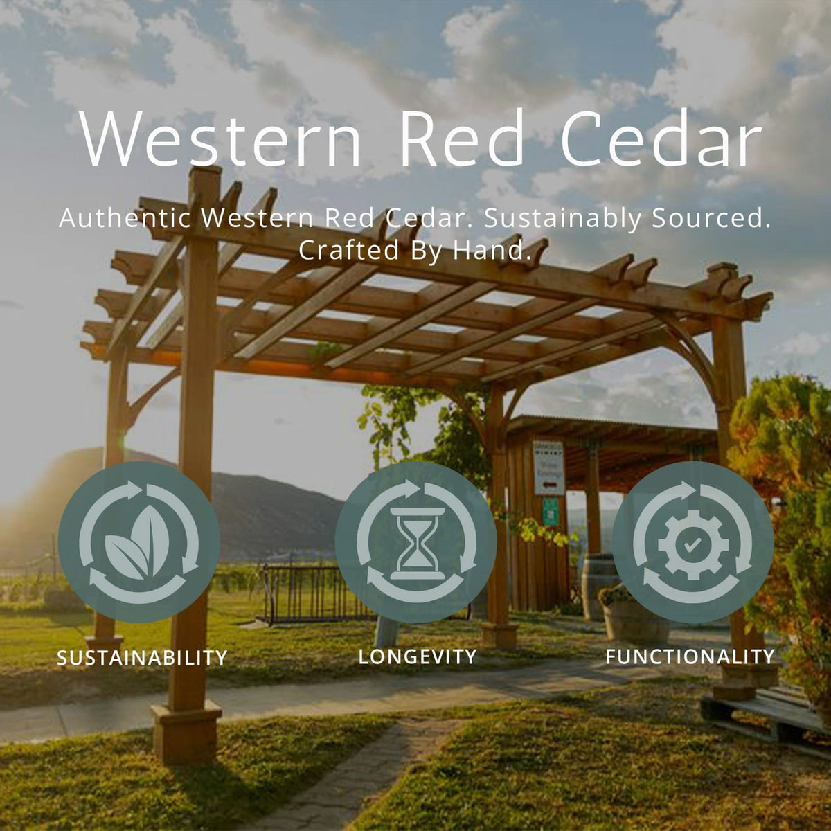 10' x 10' Western Red Cedar Urban Escape Pergola