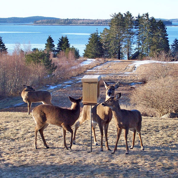 Wooden Wildlife Seed-Feeder