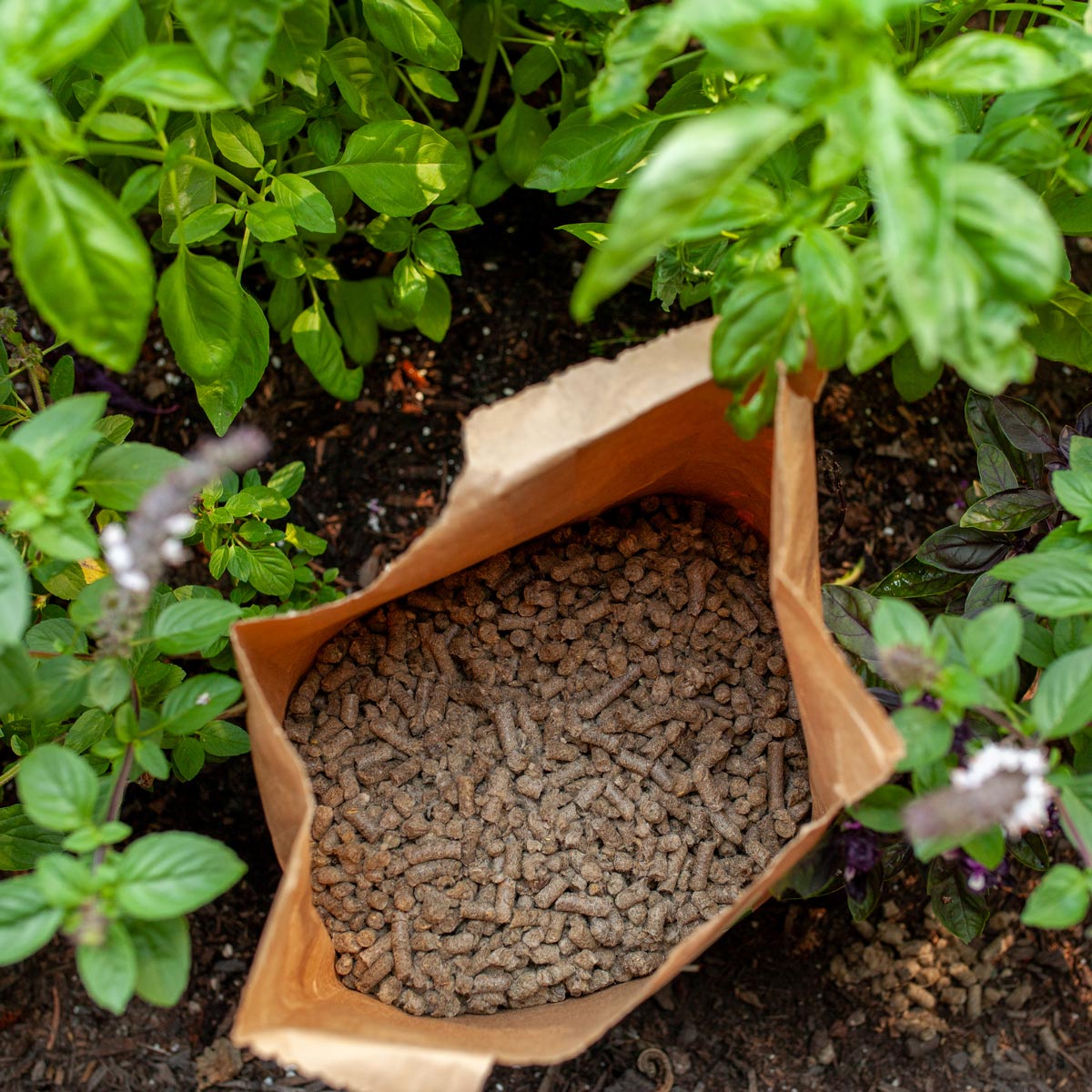 Organic Wool Garden Pellets - Natural Mulch & Slow Release Fertilizer