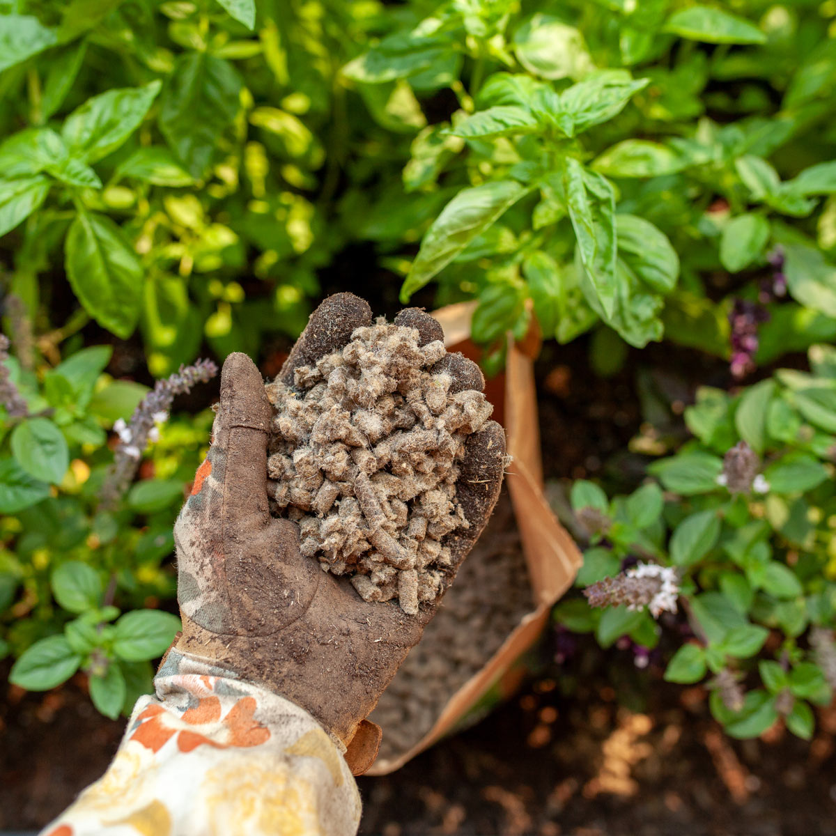 Organic Wool Garden Pellets - Natural Mulch & Slow Release Fertilizer