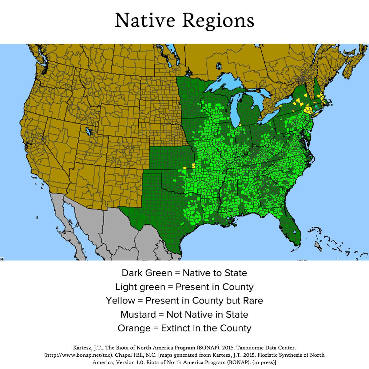 Audubon® Native River Birch Tree