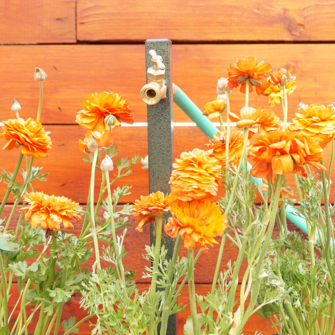 Garden Hose Bib Extender