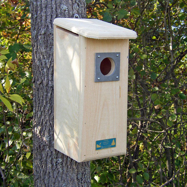 Red-Headed, Hairy and Red-Bellied Woodpecker House