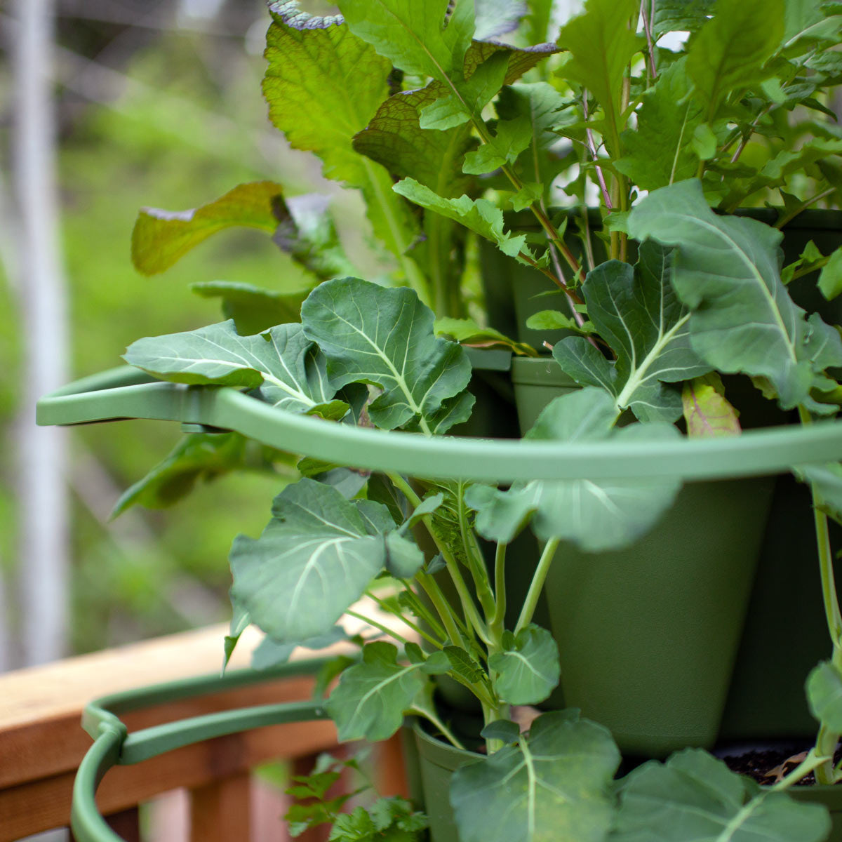 Plant Supports for GreenStalk Vertical Planter