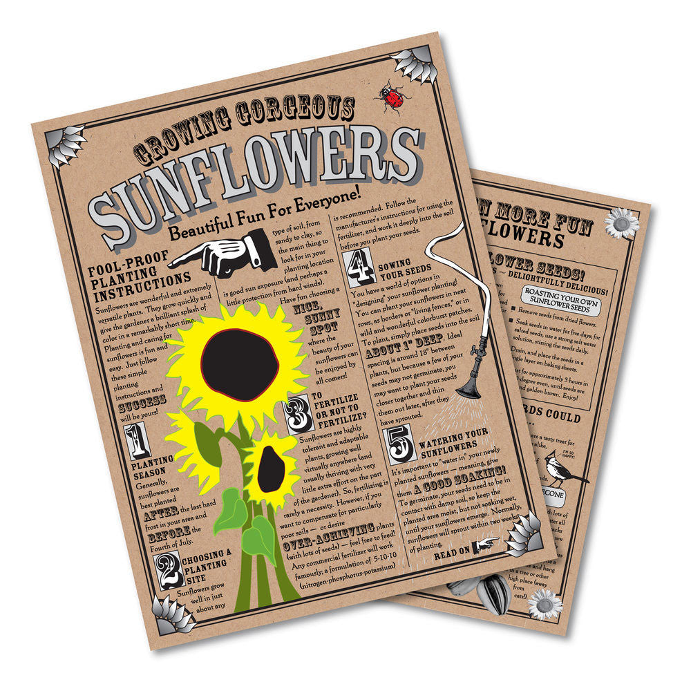 sunflower seeds planting instructions Sunflower Seed Grow Kit