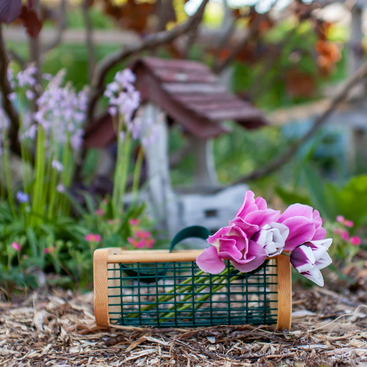 Baby Garden Hod option3