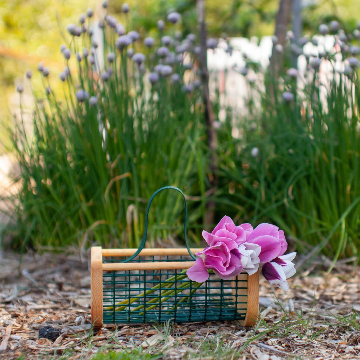 Baby Garden Hod option3