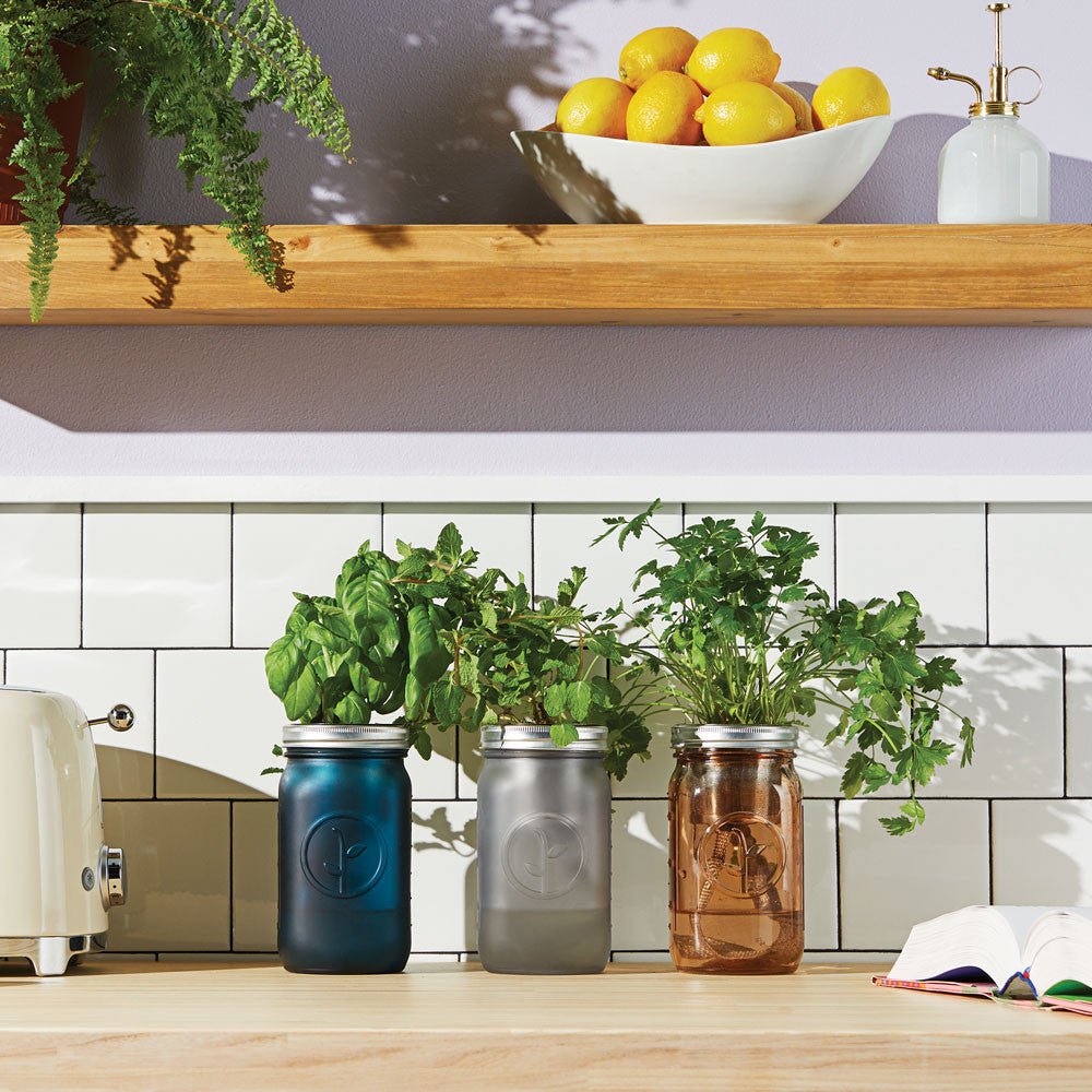 Basil Garden Jar