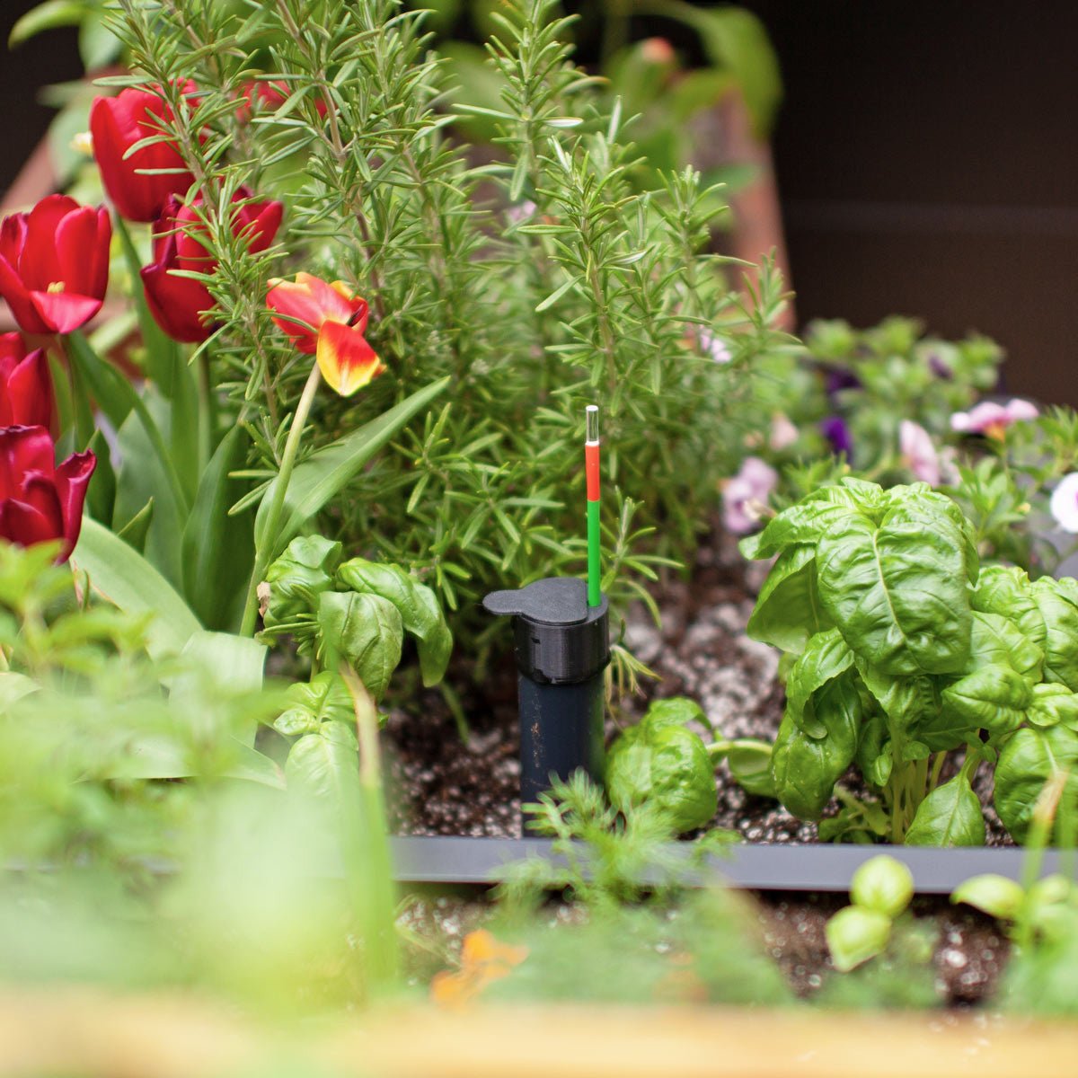 Bedd Planter Box Accessories 2-Pack Legs