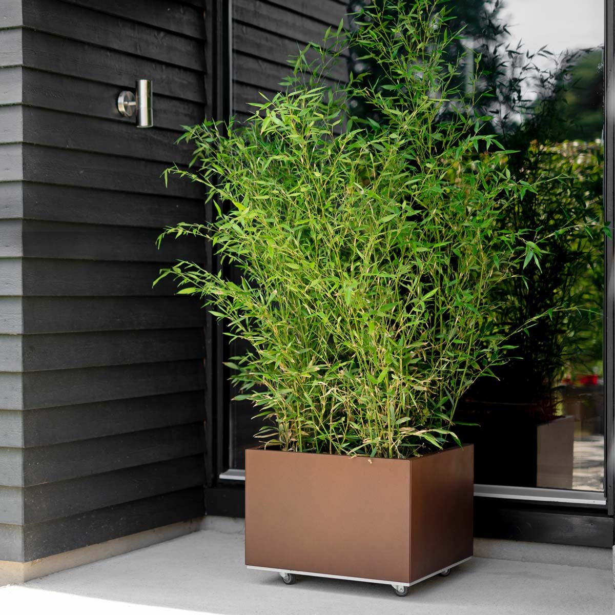 Bedd Steel Patio Planter Boxes - 2' Square Planters Black 10"