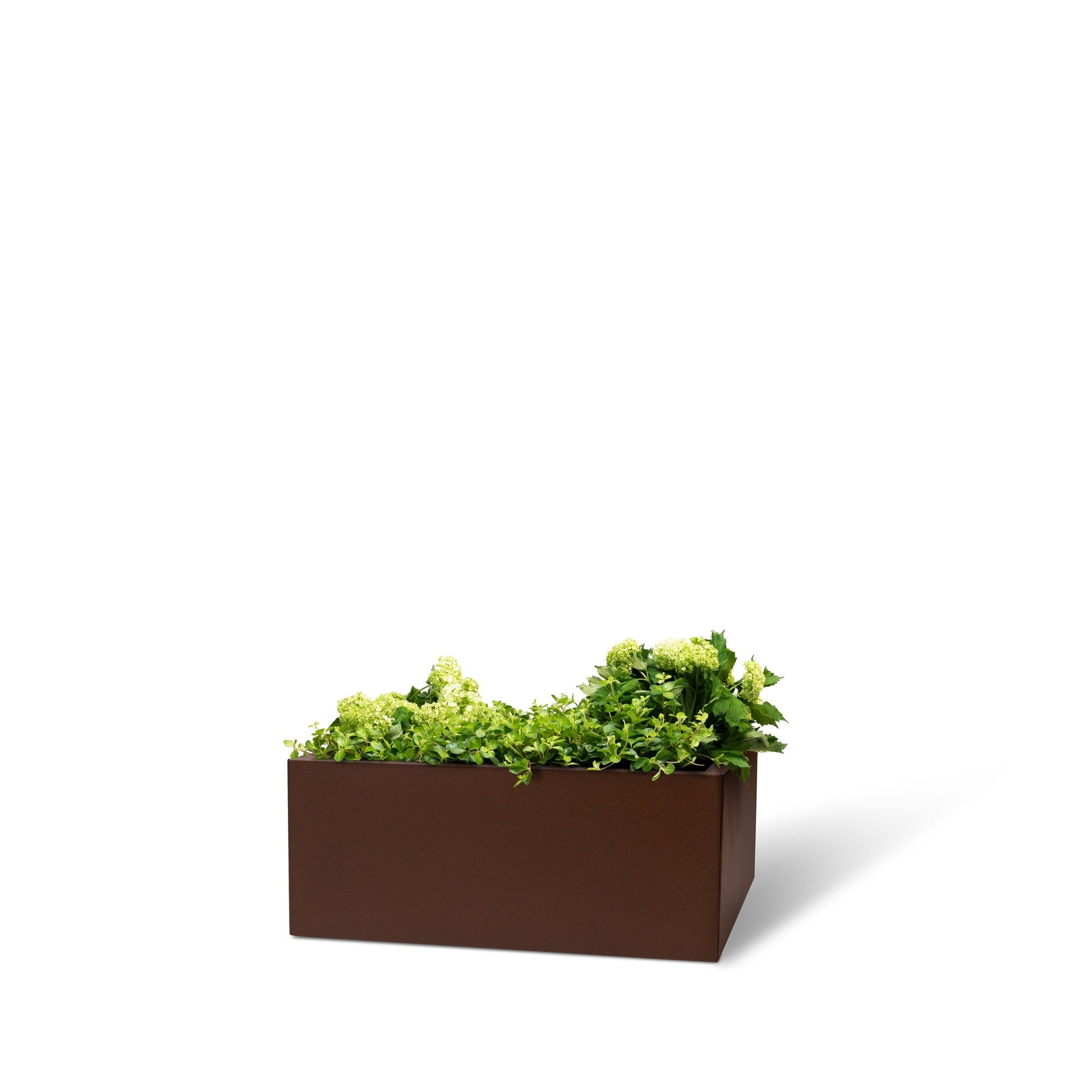 Bedd Steel Patio Planter Boxes - 2' Square Planters Rust 10"